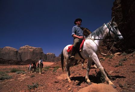 Les Wadi Rum Horses arrivent dans...le Wadi Rum, chez eux ! Photo M. Verin